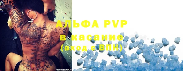 шишки Гусев