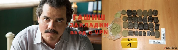 шишки Гусев