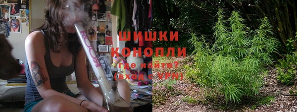 шишки Гусев