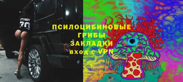 шишки Гусев