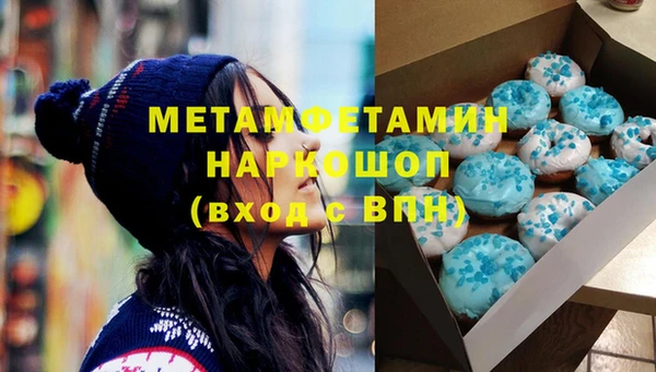шишки Гусев