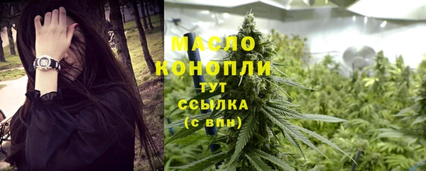 шишки Гусев
