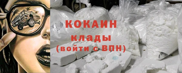 шишки Гусев