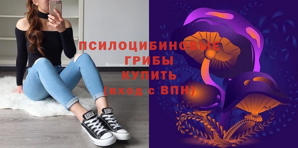 молекула духа Гусь-Хрустальный