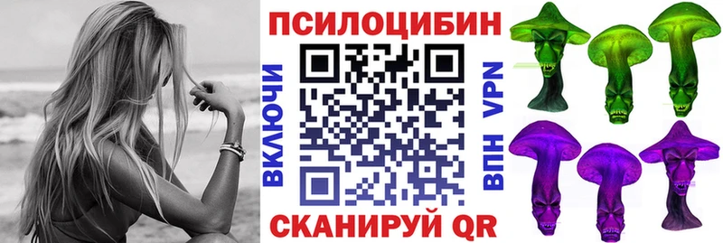 как найти наркотики  Дрезна  Псилоцибиновые грибы мицелий 